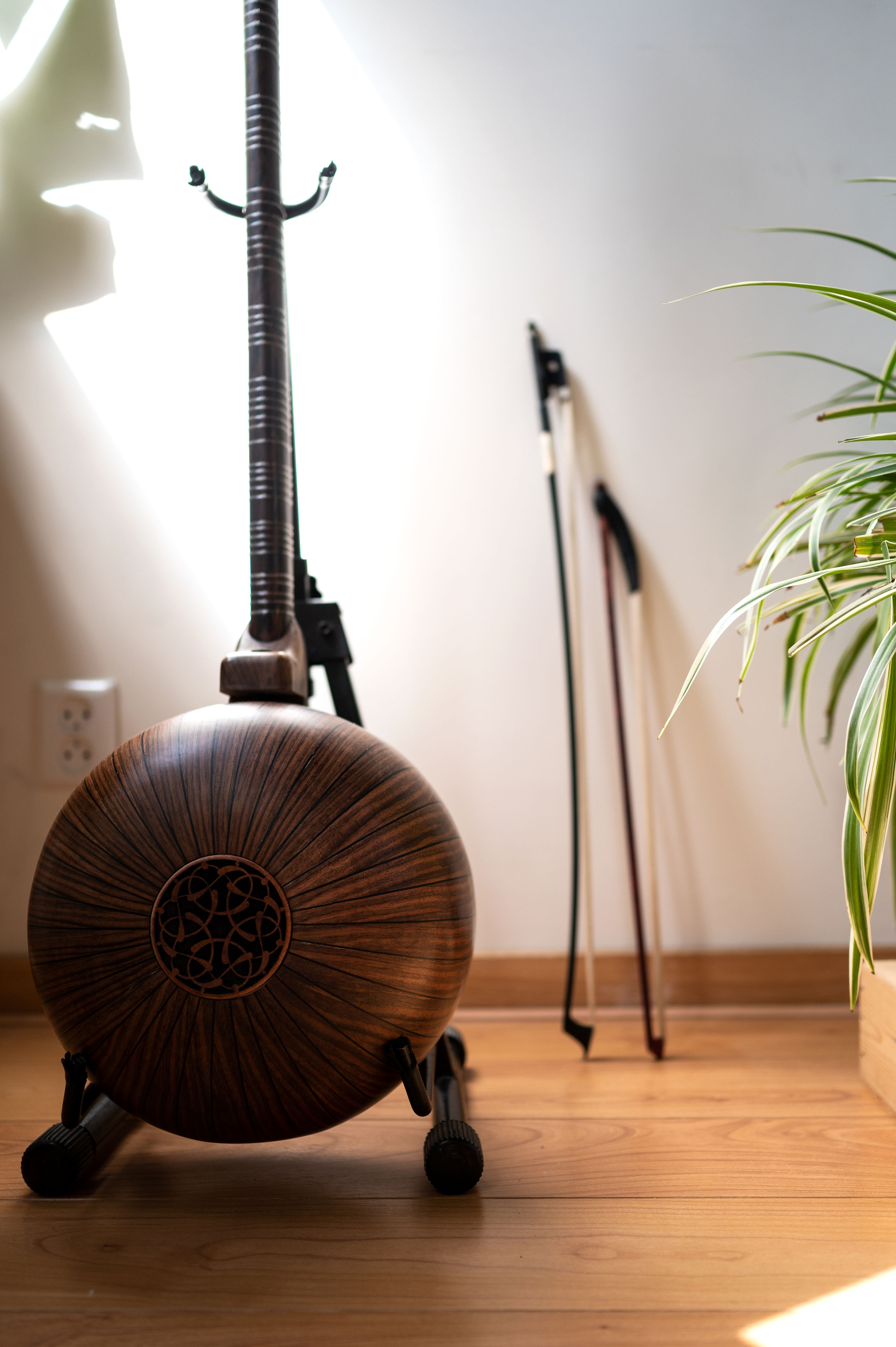 Traditional string instrument in the studio